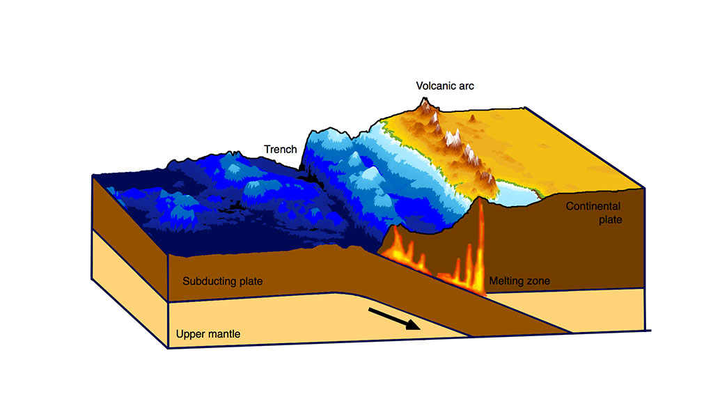 The subduction zone at Surabaya is formed, because the oceanic plate subducts underneath the Eurasian plate. The oceanic sediments are melted due to the high friction and pressure between the two plates. This magma is ascending and creating a volcanic arc along the subduction zone.